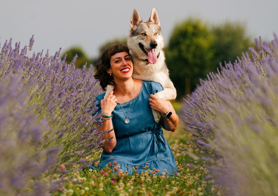 ce2e65f6-19b3-4bb9-b878-4dbc58692a72