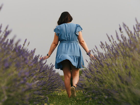 84d713d6-f2fd-4b70-a764-a4aa0d2f0f30