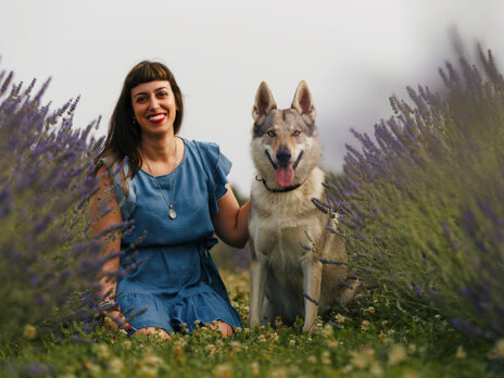 ba907a76-a501-4d2f-bf51-8f06028d58a5