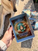 oracolo-dei-maestri-saggezza-e-guida-universale