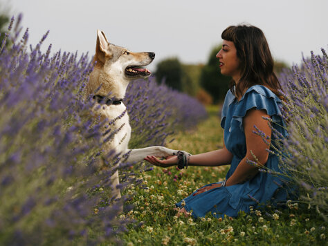 0d0f807e-b6b3-4260-8fe8-2cc1ce7e173d