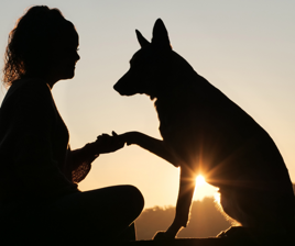 908b8fbc-1f5f-4c88-95ae-8d0f53e6b72c