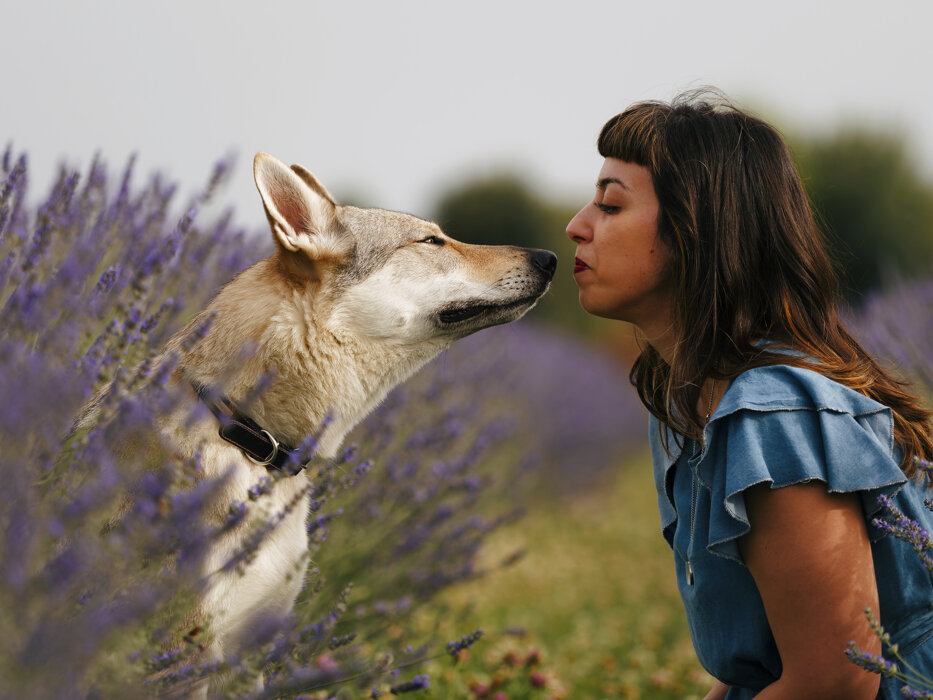 ecbb1c6a-a36d-42a1-8c17-d25248480c3d