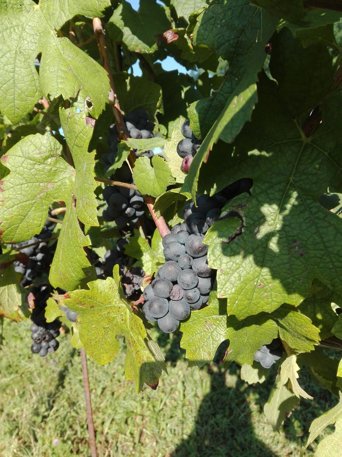 dfddf44f-7f93-4225-b919-2136201e02f4