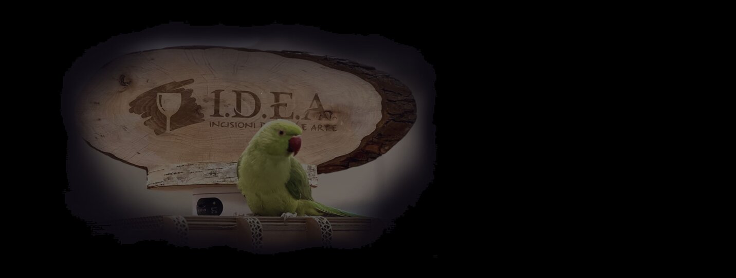 5b6d2e06-2322-4709-b1af-0bb488e387ad 5b6d2e06-2322-4709-b1af-0bb488e387ad