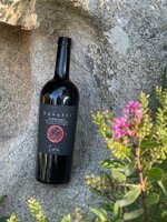 bovale-superiore-terralba-doc-bovaris