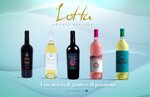 confezione-degustazione-vini