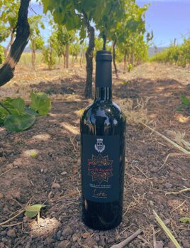 b4fcdb36-1232-4702-a7f6-8aa4a43bfafc