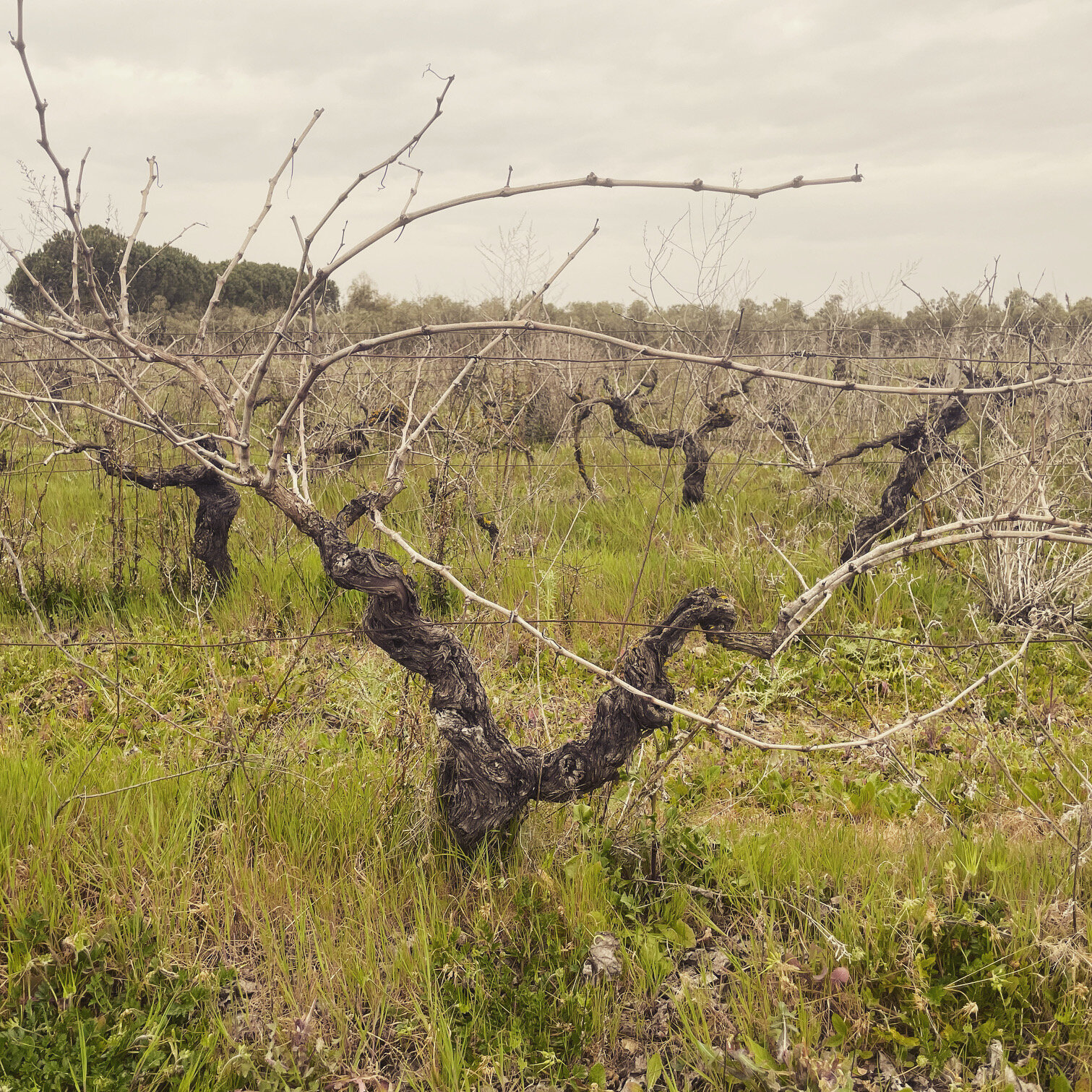 Una bellissima storia