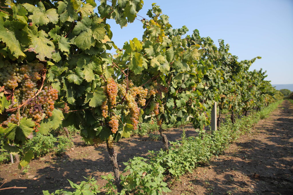 07ebd5a5-878d-45b9-99eb-d4645ccb30e3