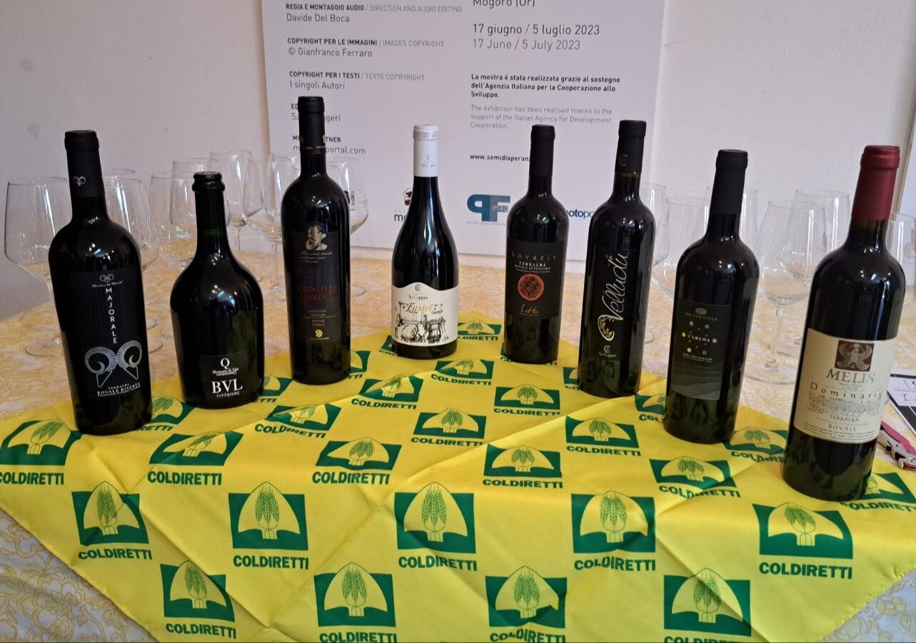 Nasce il Consorzio per la tutela e valorizzazione del Terralba DOC