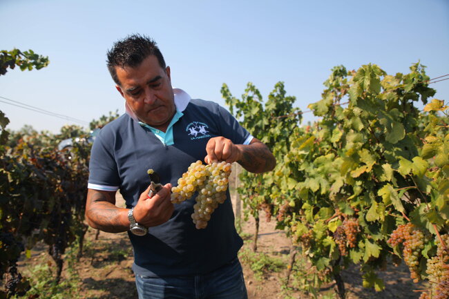 783e3aa1-4055-459c-a7bf-216ca85dc2ce