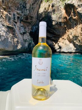 31bf30c1-9119-46ae-8282-7bf2128d8e3a