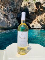 vermentino-doc-snarci