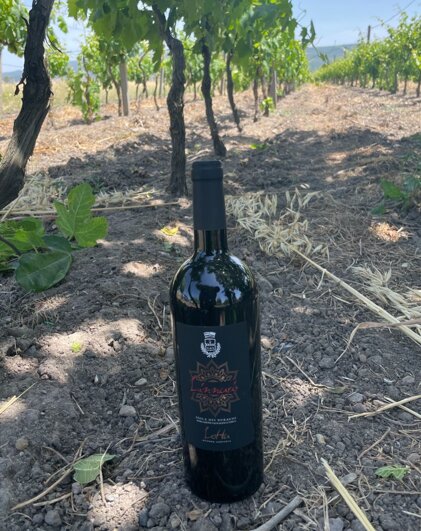 cbfc2fbd-d62e-4ce8-bf41-8388dcf6d802 cbfc2fbd-d62e-4ce8-bf41-8388dcf6d802