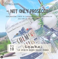 93317d08-e7d1-47cf-bbaf-aac2d7e46774