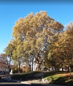 110426-mercato-monumentale-camminata-aperitivo-produttori