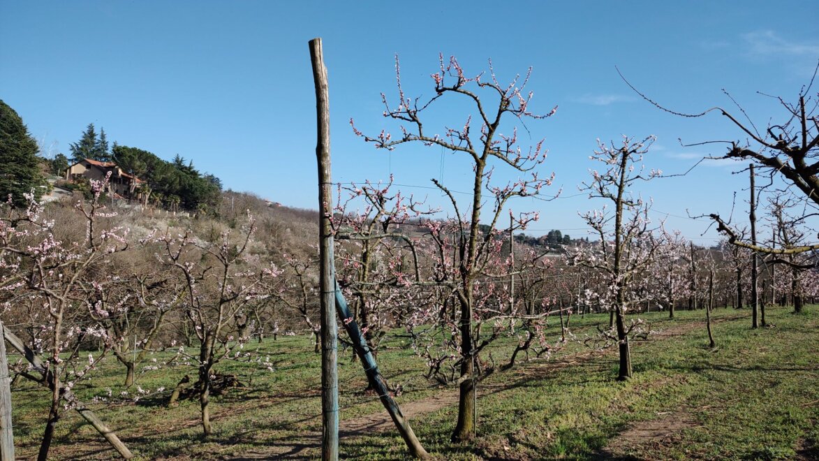 5195e6a7-1570-4f5b-82f6-8e18541ba3ea