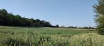 120626-conquistiamoci-la-griglia-camminata-serale-nella-morenica