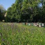 260626-andar-per-ex-ghiacciai-1-camminata-serale-degustazione