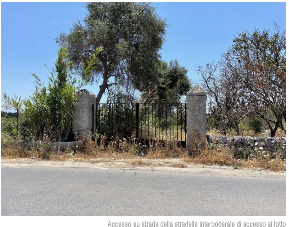 screenshot-2024-09-07-alle-09.55.01.png screenshot-2024-09-07-alle-09.55.01.png