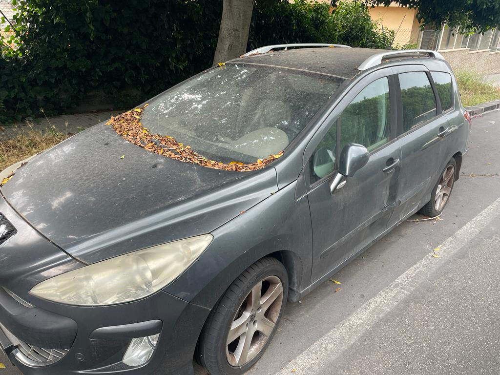 Autovettura Peugeot 308 SW Autovettura Peugeot 308 SW