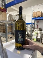 vini-in-silos-e-bottiglie-a-marchio-judeka-di-varia-tipologia