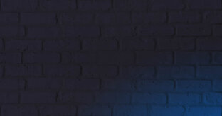 315c2c25-d462-4caa-9481-228a1bfc816a