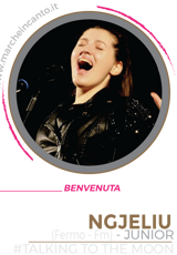 cantante,concorso canoro nazionale,marche in canto,musica,cantautore,premio,sanremo,casa sanremo,esibizione,cantautore,casa sanremo,festival sotto il conero,sotto il conero,gianluca berti,walter fontana,ancona,premio gabriella ferri,claudio starnone