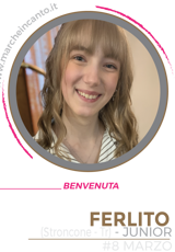 cantante,concorso canoro nazionale,marche in canto,musica,cantautore,premio,sanremo,casa sanremo,esibizione,cantautore,casa sanremo,festival sotto il conero,sotto il conero,gianluca berti,walter fontana,ancona,premio gabriella ferri,claudio starnone