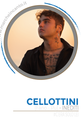 cantante,concorso canoro nazionale,marche in canto,musica,cantautore,premio,sanremo,casa sanremo,esibizione,cantautore