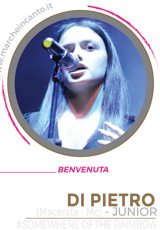 cantante,concorso canoro nazionale,marche in canto,musica,cantautore,premio,sanremo,casa sanremo,esibizione,cantautore,casa sanremo,festival sotto il conero,sotto il conero,gianluca berti,walter fontana,ancona,premio gabriella ferri,claudio starnone