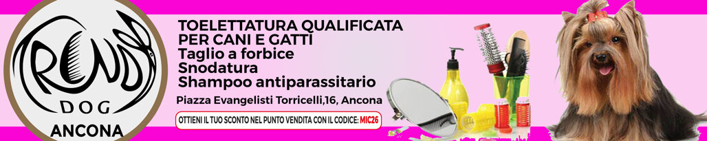 trendy dog-banner-tolettatura-cani-pet-ancona-collemarino-gatti-cuccioli-shampo-taglio-spazzole,casa sanremo,festival sotto il conero,sotto il conero,gianluca berti,walter fontana,ancona,premio gabriella ferri,claudio starnone
