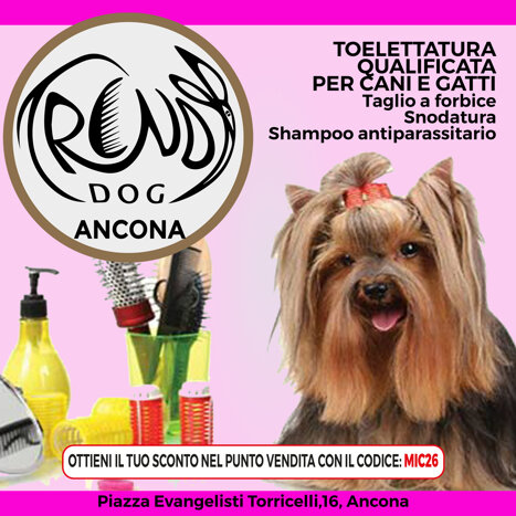 52ebd64b-92fe-49a9-b7ce-5ebe596d2305