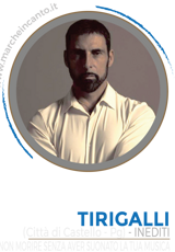 cantante,concorso canoro nazionale,marche in canto,musica,cantautore,premio,sanremo,casa sanremo,esibizione,cantautore,casa sanremo,festival sotto il conero,sotto il conero,gianluca berti,walter fontana,ancona,premio gabriella ferri,claudio starnone