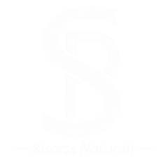 logo%20sp%20nw%202026