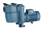 elettropompe-autoadescanti-per-piscine-con-prefiltro-in-ghisa-nmp-6512e-hp-55-trifase