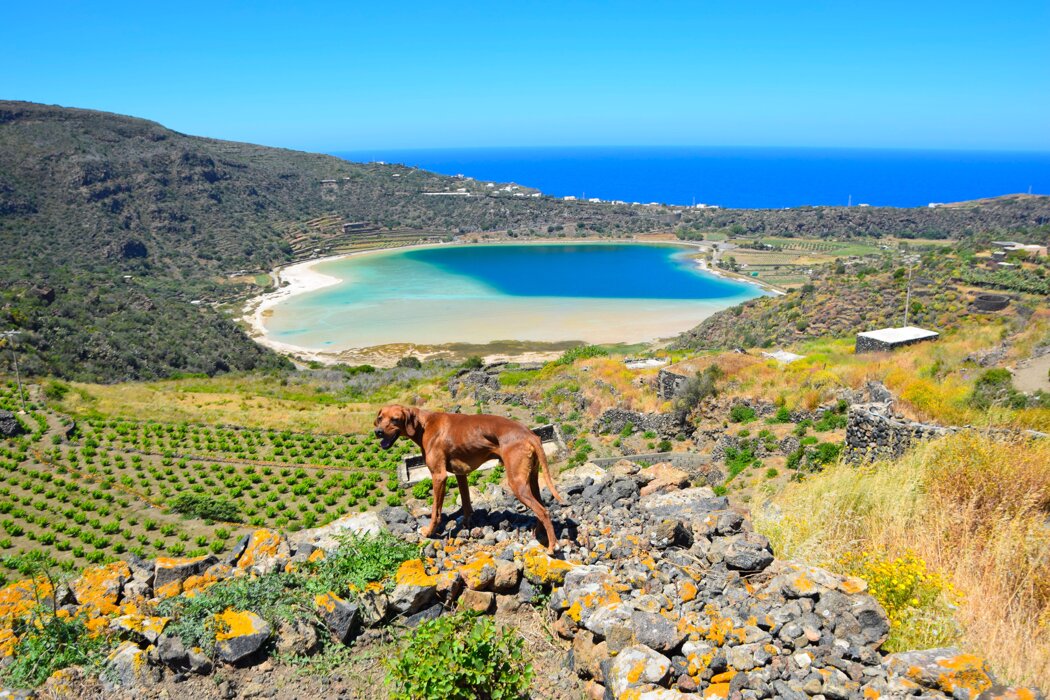 Foto by M. Squitieri