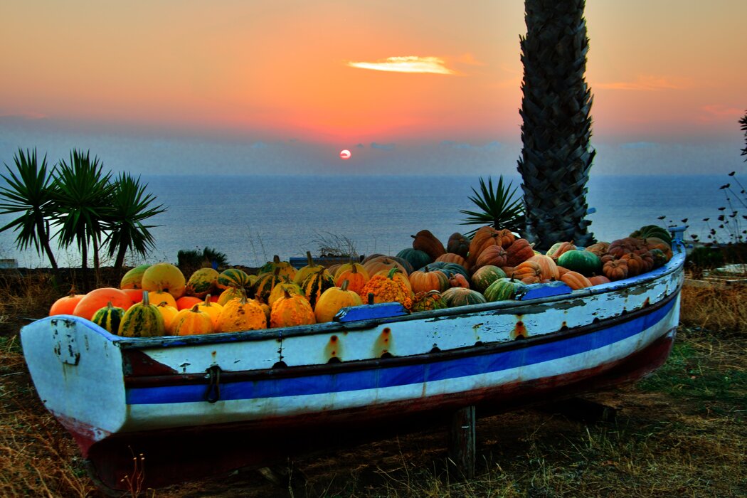 Foto by M. Squitieri