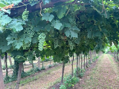 c2e1a7e4-209a-473b-a4f8-82646931a3fb c2e1a7e4-209a-473b-a4f8-82646931a3fb