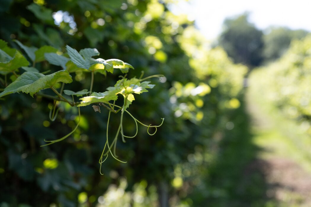 b1f02749-1022-4055-826c-2c0378fe2ca7 b1f02749-1022-4055-826c-2c0378fe2ca7