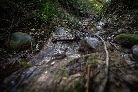 ed9facf8-6138-4ec0-b901-3143e9e60757 ed9facf8-6138-4ec0-b901-3143e9e60757