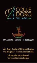 cod-28-orcio-in-terracotta-slim-500-ml