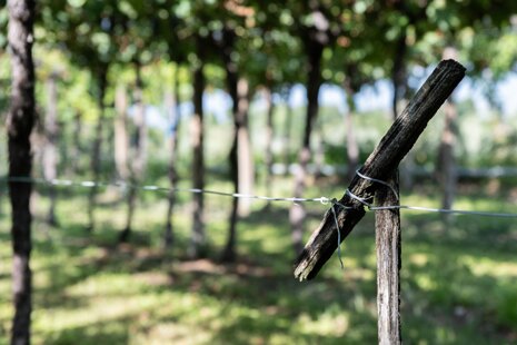 6e3f40c4-5783-44c4-961d-84d827ca1c5e 6e3f40c4-5783-44c4-961d-84d827ca1c5e