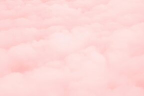 e196e9c9-9ea2-4fbe-b0a1-0de2870d8ff6.jpeg e196e9c9-9ea2-4fbe-b0a1-0de2870d8ff6.jpeg