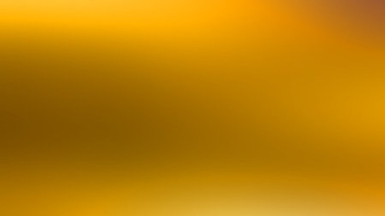 455af449-6f5b-4959-875a-b256fe5f66cb.jpeg 455af449-6f5b-4959-875a-b256fe5f66cb.jpeg