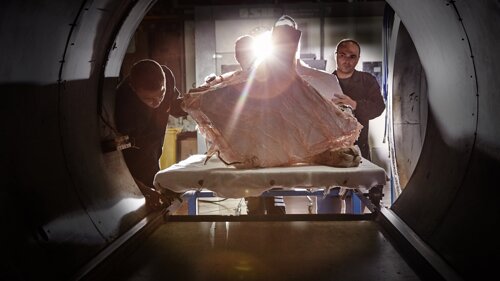 919d5f5c-cbaf-434a-9da4-2f31af6314c0