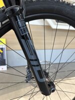 megamo-track-buff-megamo