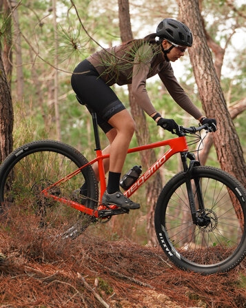 b36e0573-1f26-4ea2-9839-b320e075a761