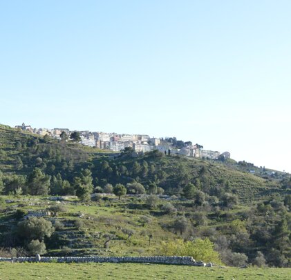 517fce30-7cbf-44c9-b08b-9fb89fb7b950